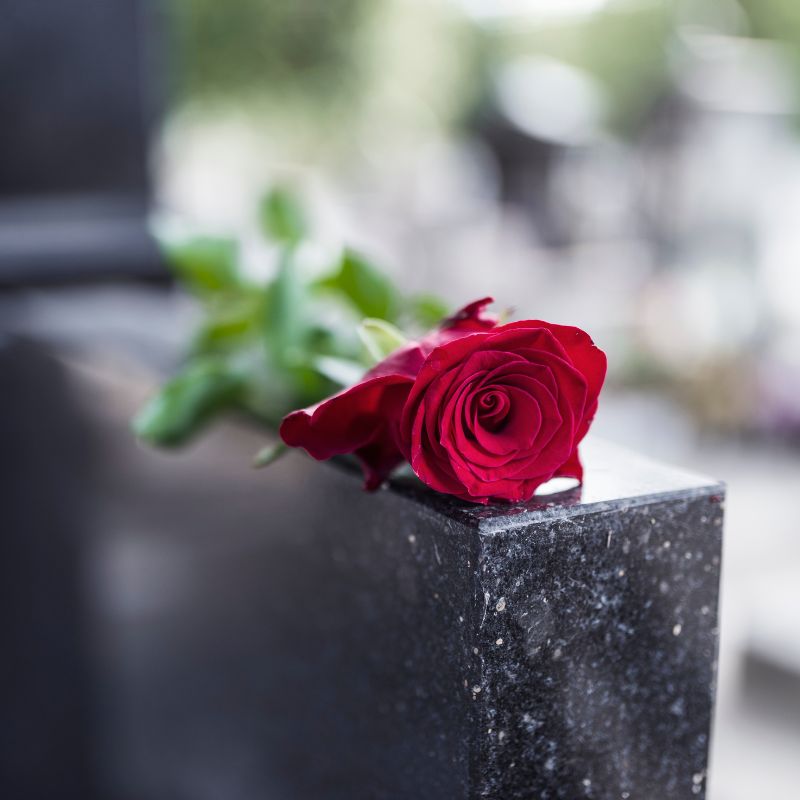 Rode roos op zwarte grafsteen
